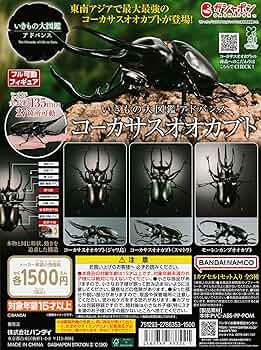 生き物大図鑑アドバンスコーカサス、アニマリエコレクションオオヒラタまとめ売り 生き物大図鑑アドバンスコーカサス、アニマリエコレクション